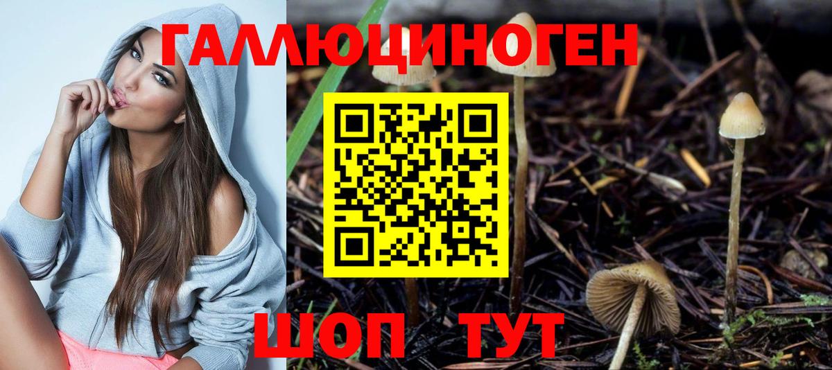 Галлюциногенные грибы Psilocybe  купить  сайты  Звенигород  Вход с VPN 
